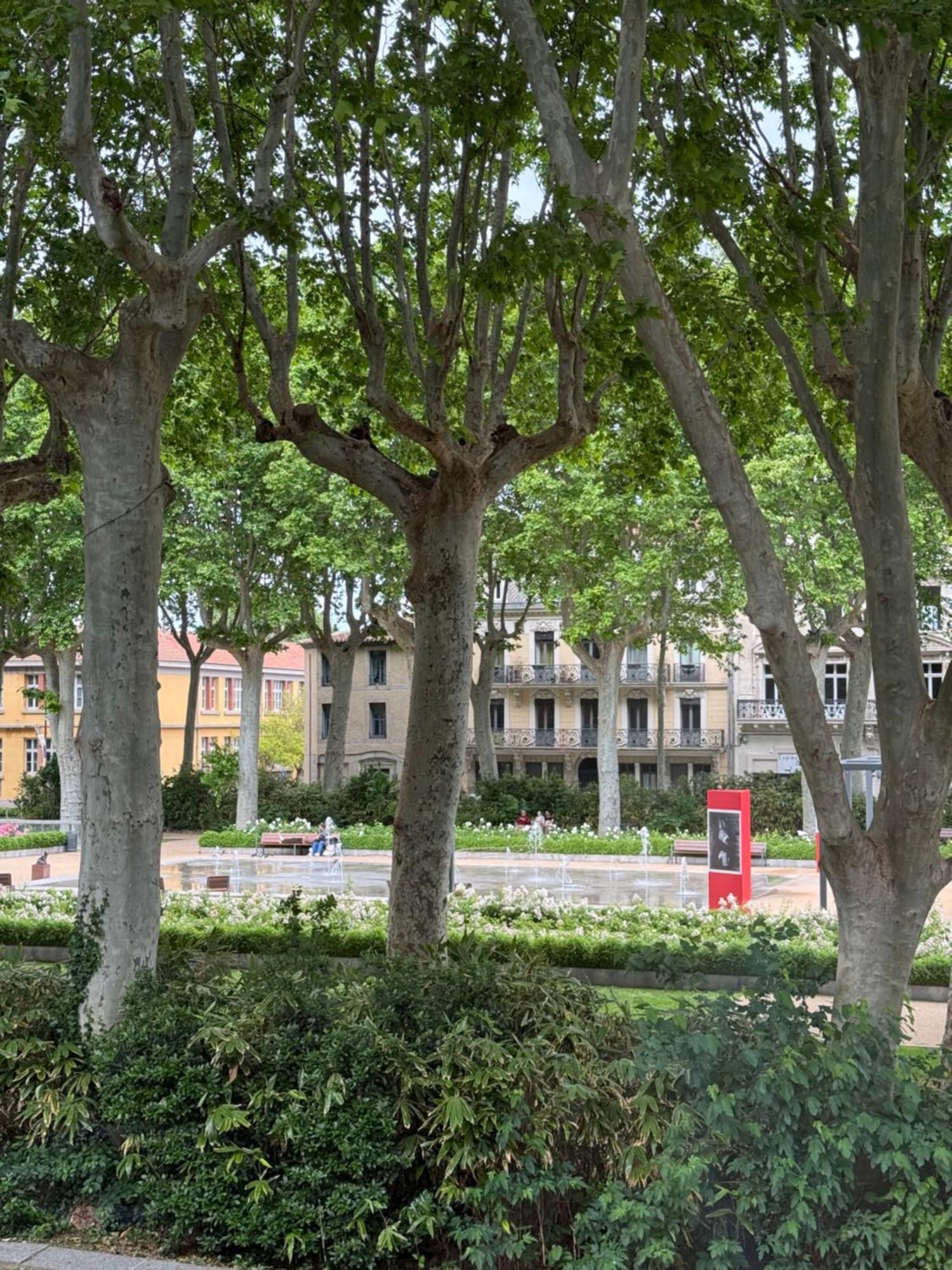 Le Carre Gambetta Daire Carcassonne Dış mekan fotoğraf